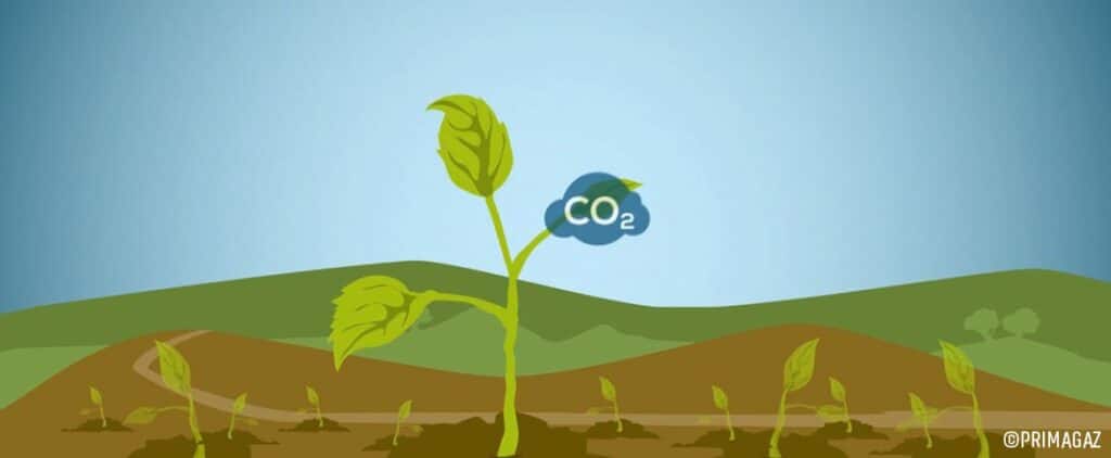 Primagaz : Qu’est-ce que le biopropane ?