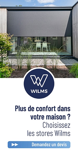 Wilms V